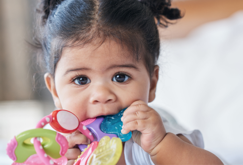 baby chewing teething toys